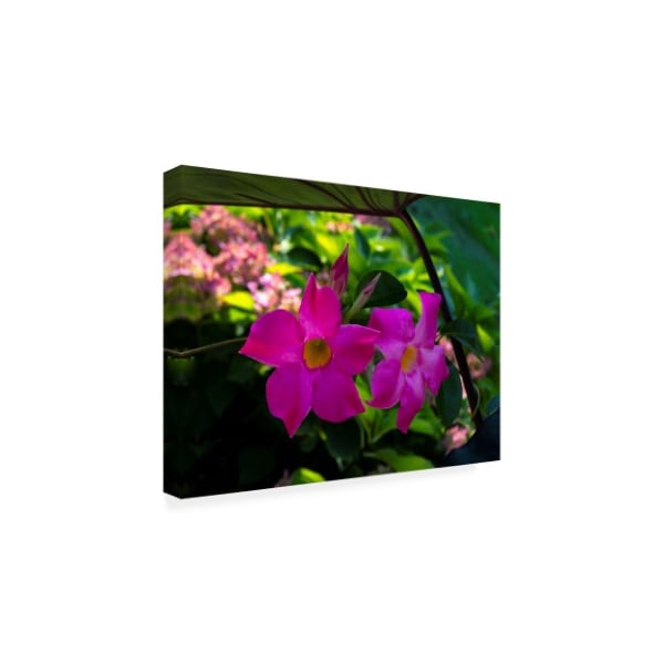 Kurt Shaffer Photographs 'Pinks And Greens Of Spring' Canvas Art,14x19